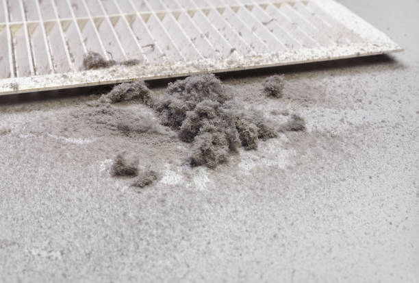 Best Local Air Duct Cleaning Services  in West Salem, WI